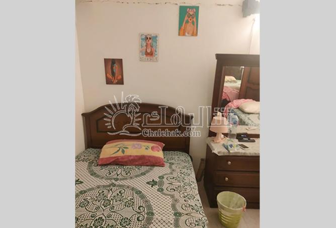 8399950 - Property Image 3