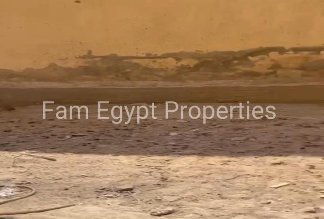 8121597 - Property Image 3