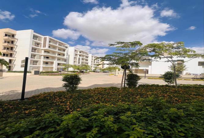8027647 - Property Image 3