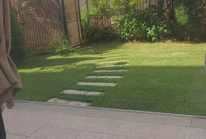 8224923 - Property Image 3