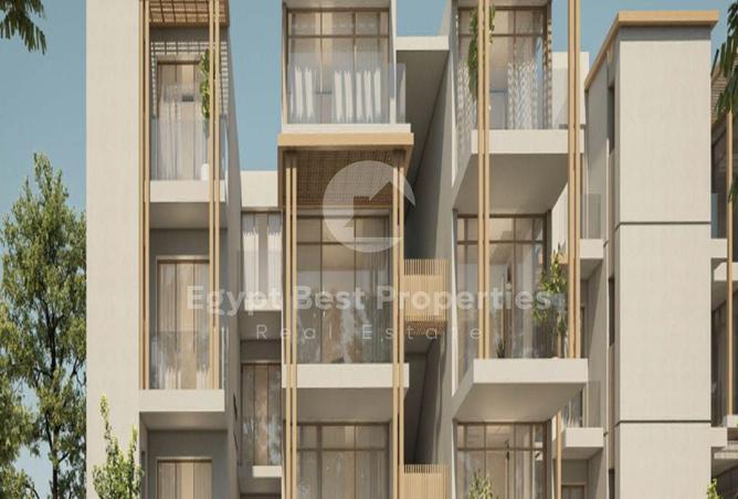 8288504 - Property Image 3