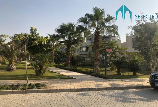 8033224 - صورة العقار 2