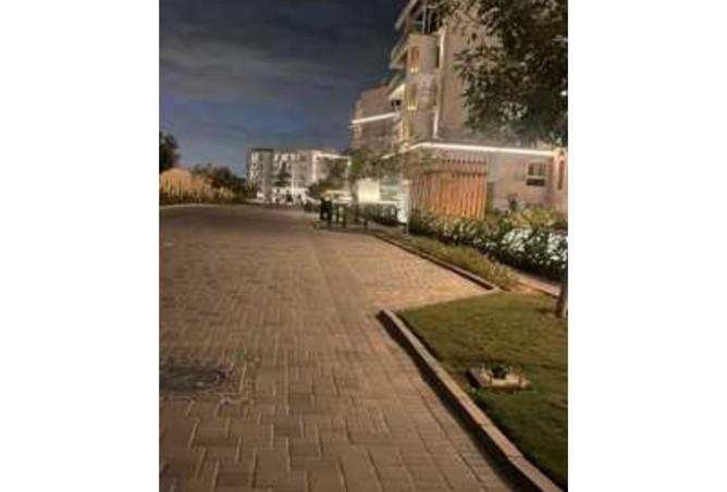 8218341 - Property Image 2