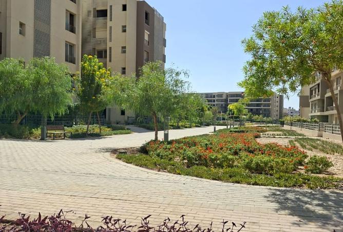 8513574 - صورة العقار 2