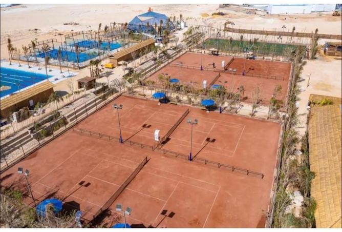 8217689 - Property Image 3