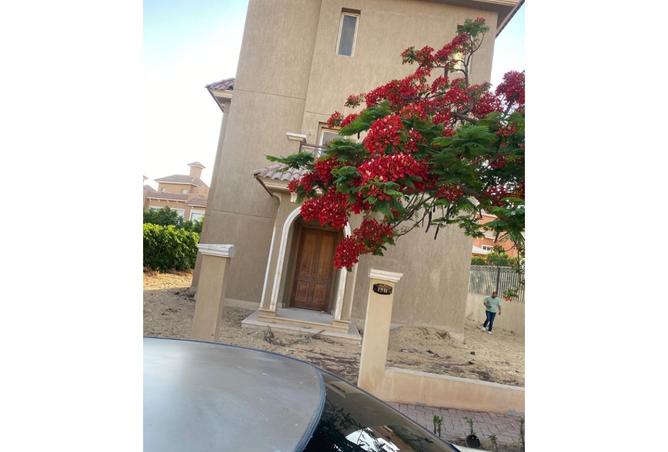 7931640 - صورة العقار 3