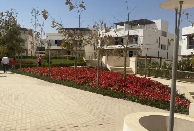 7896975 - Property Image 2