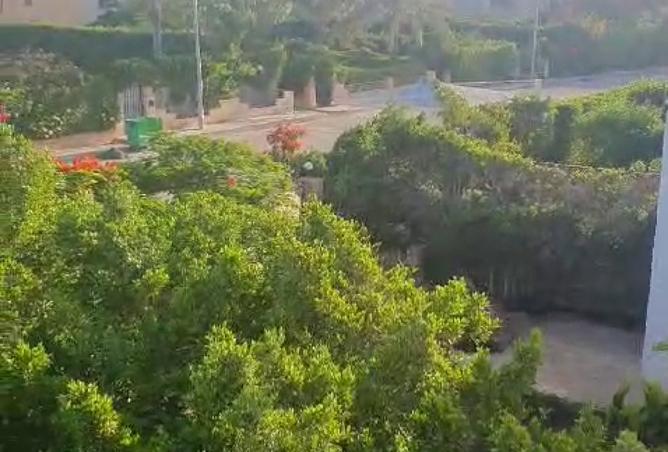 8456993 - صورة العقار 3