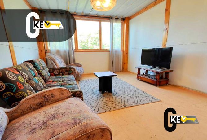7954051 - Property Image 3