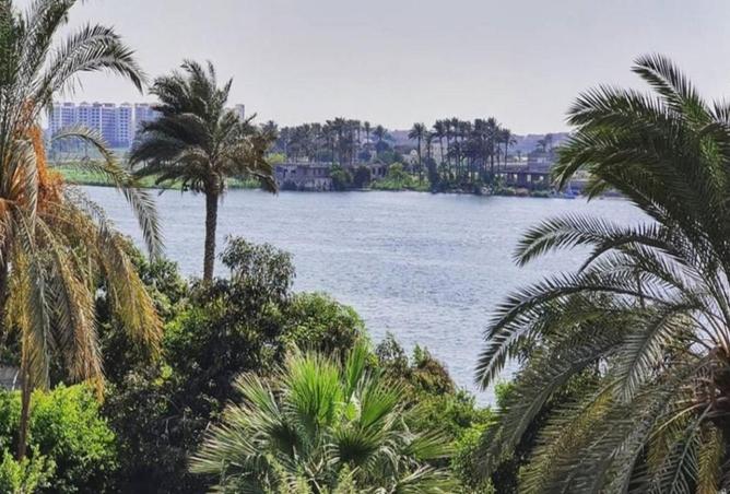 8473812 - صورة العقار 2