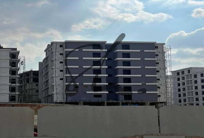 8037243 - Property Image 3