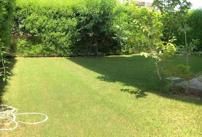 8096528 - صورة العقار 2