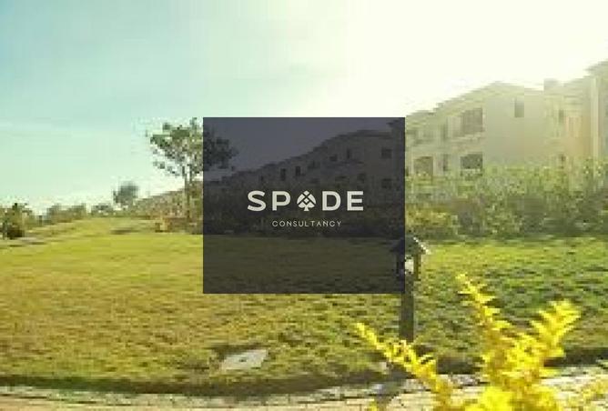 8262439 - Property Image 3