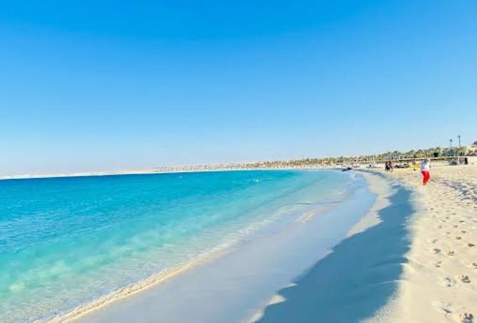 8201915 - Property Image 2