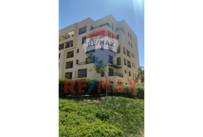 8306805 - صورة العقار 2