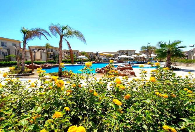 8558900 - صورة العقار 2