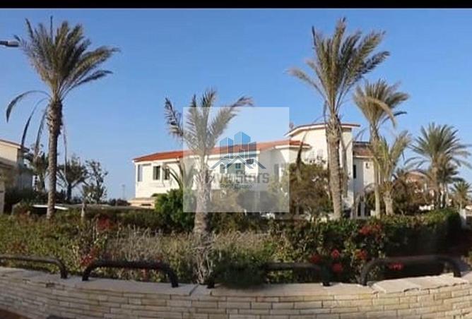 8467332 - صورة العقار 3