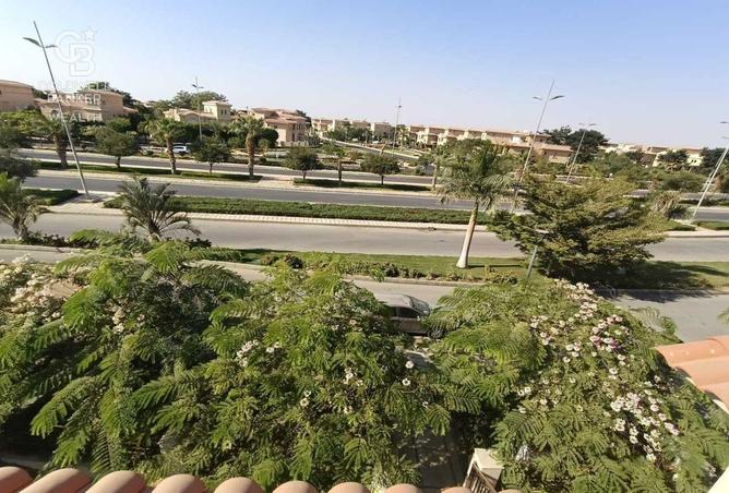 8256369 - صورة العقار 3