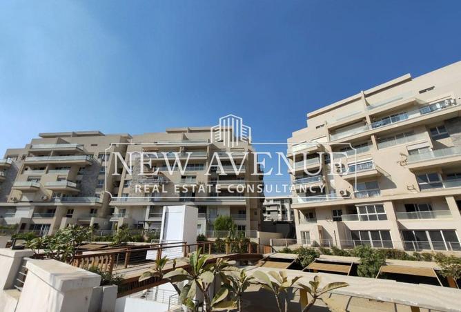 8288649 - Property Image 3