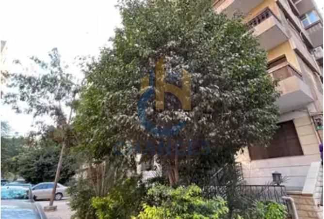 7963840 - صورة العقار 2
