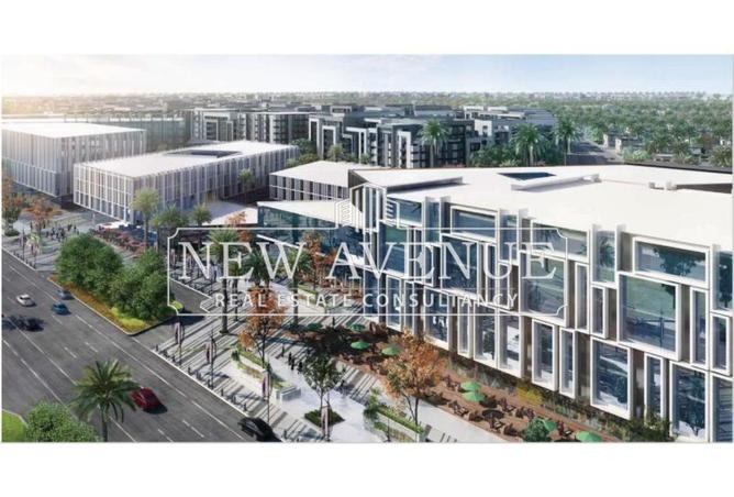 8415244 - Property Image 2