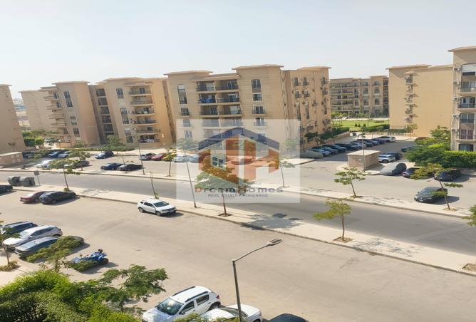 7963786 - الصورة الرئيسية للعقار