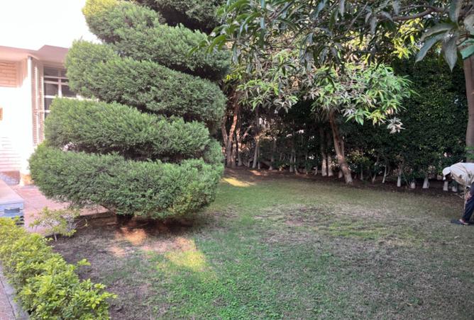 8231747 - صورة العقار 2