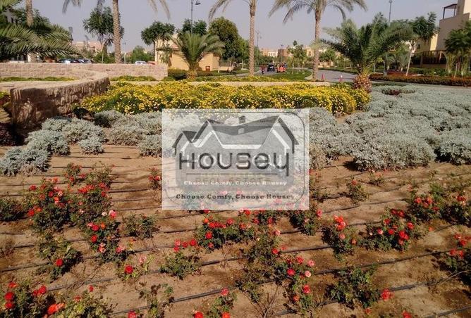 8496887 - Property Image 3