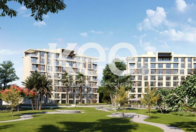 8439891 - Property Image 3