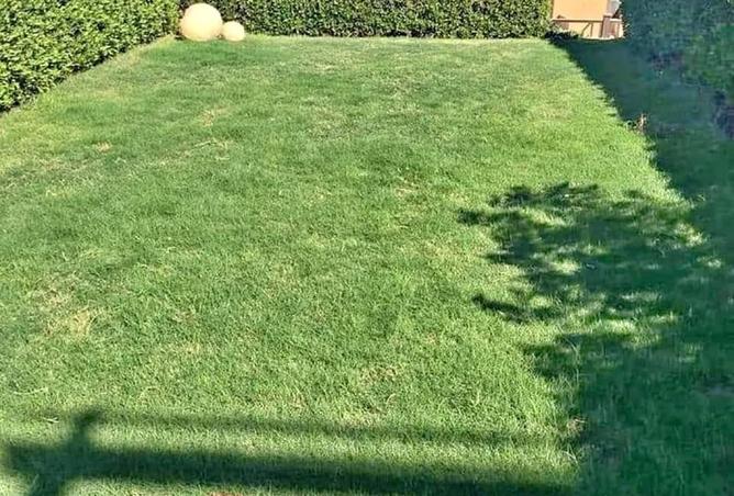 8339495 - صورة العقار 2