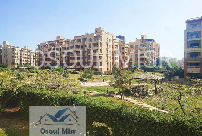 8206872 - الصورة الرئيسية للعقار