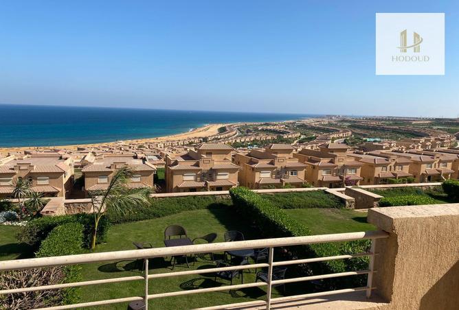 8005067 - صورة العقار 2