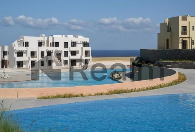 8036628 - Property Image 3