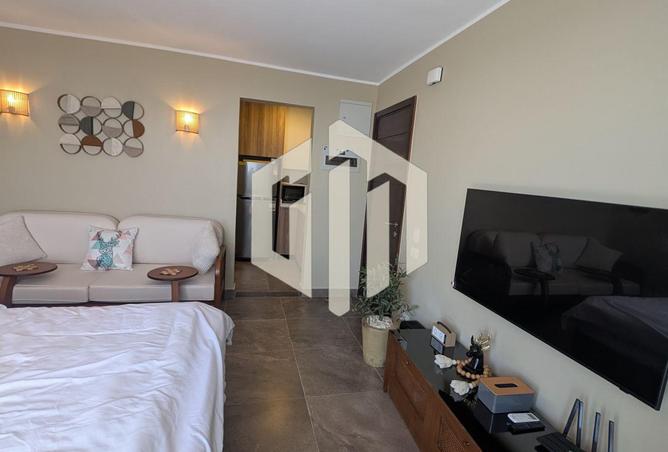 8115320 - Property Image 2