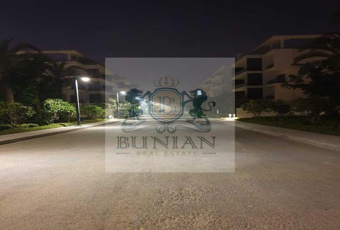 8163773 - Property Image 3