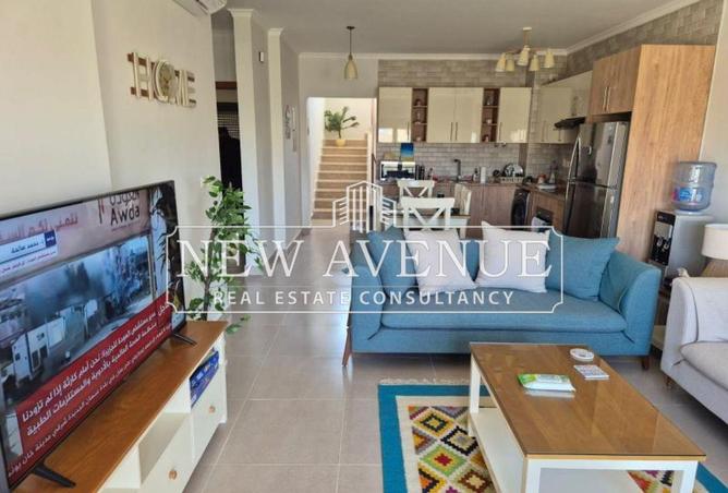 8334274 - Property Image 3