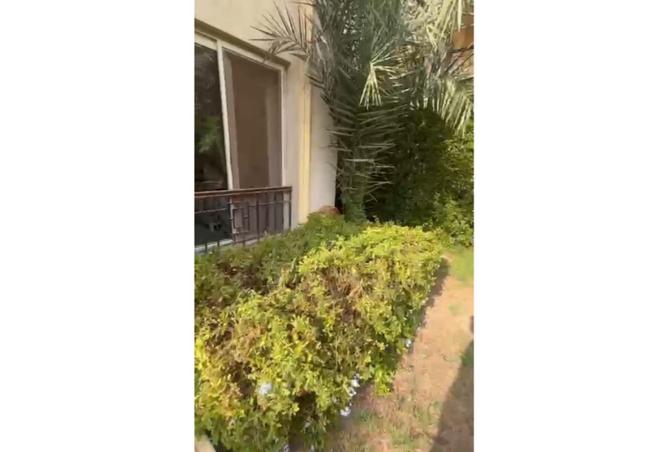8113934 - Property Image 3