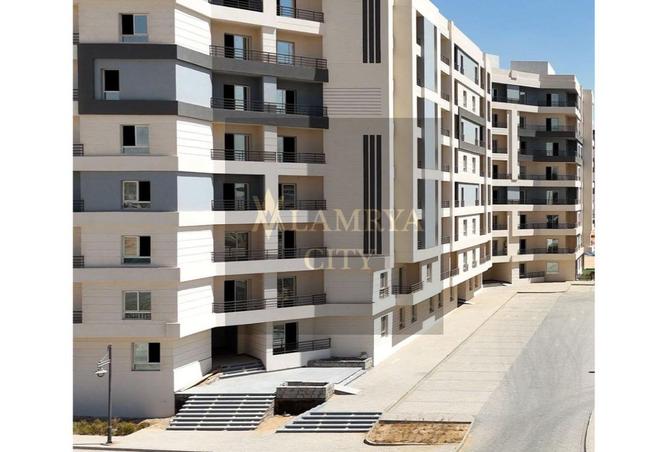 8137843 - صورة العقار 2