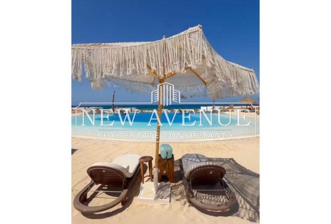 8433394 - Property Image 2