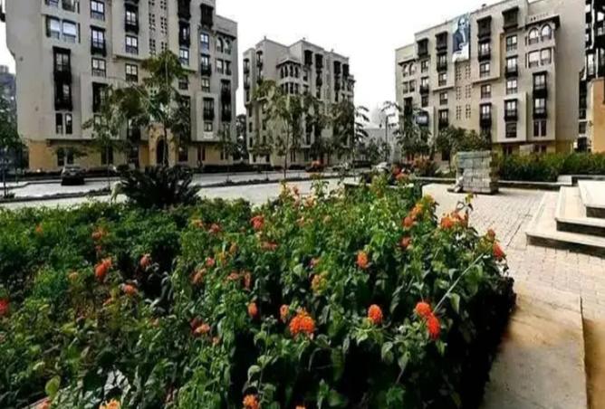 8255057 - الصورة الرئيسية للعقار