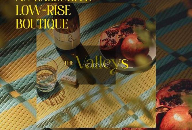 8466956 - صورة العقار 2