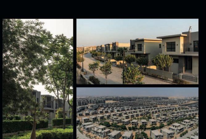 8261250 - Property Image 2