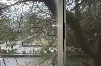 Apartment - 2 Bedrooms - 2 Bathrooms for sale in Hassan Sabri St. - Zamalek - Cairo