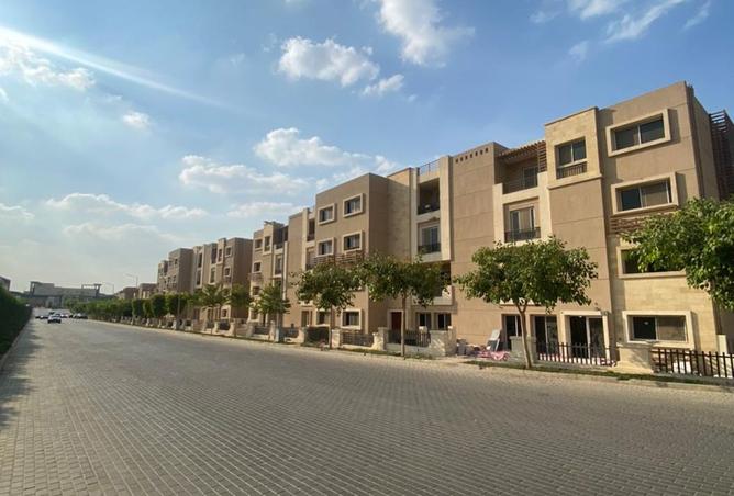 8433539 - صورة العقار 3