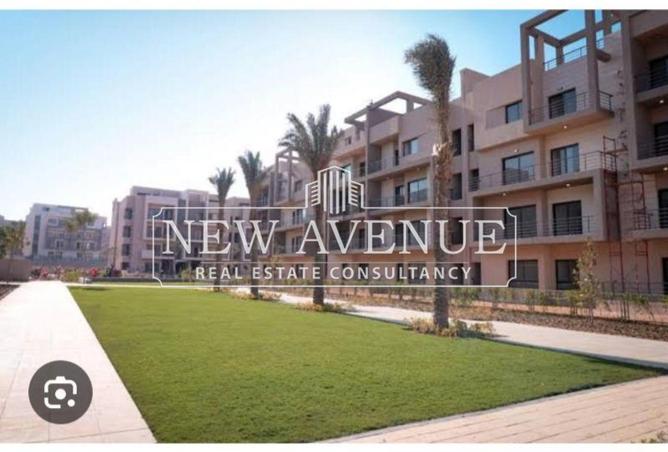 8168240 - Property Image 3