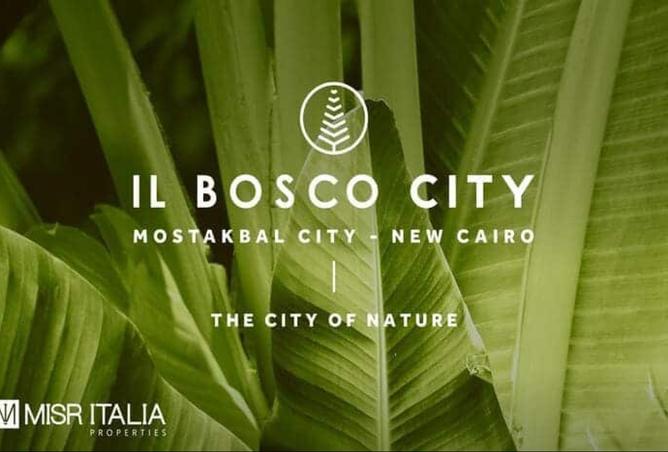 8253502 - صورة العقار 2