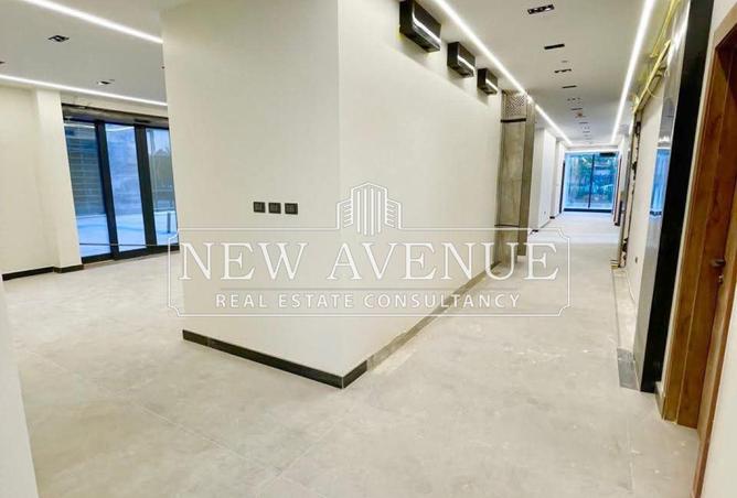 8338980 - Property Image 3