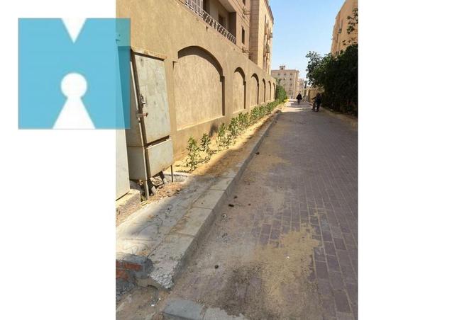 8256892 - صورة العقار 2