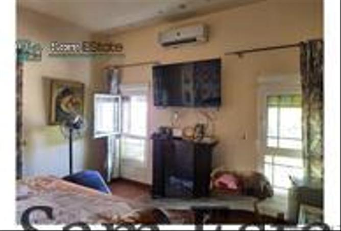 7744169 - صورة العقار 3