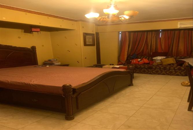 7892837 - Property Image 2